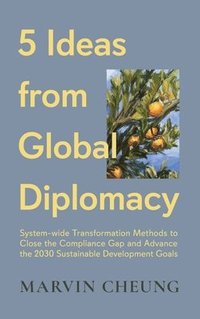 bokomslag 5 Ideas from Global Diplomacy