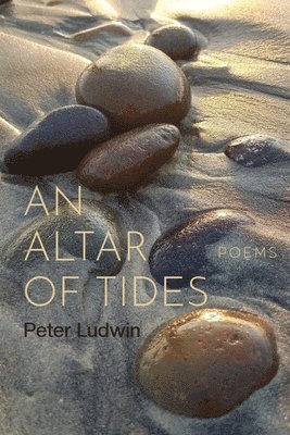 bokomslag Altar of Tides