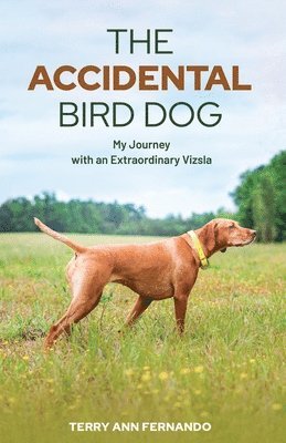 bokomslag The Accidental Bird Dog: My Journey with an Extraordinary Vizsla