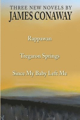 bokomslag Three Short Novels