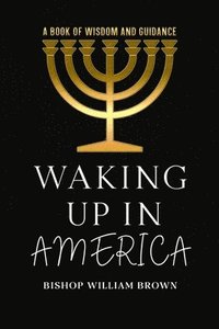 bokomslag Waking Up In America