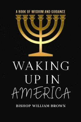 bokomslag Waking Up In America