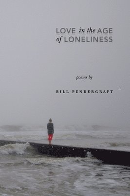 bokomslag Love in the Age of Loneliness