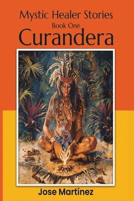 bokomslag Mystic Healer Stories Curandera