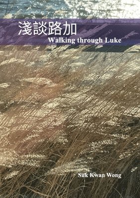 &#28154;&#35527;&#36335;&#21152; Walking through Luke 1