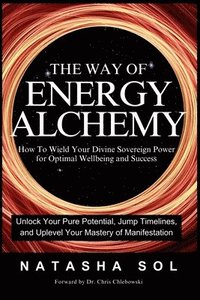 bokomslag Way of Energy Alchemy