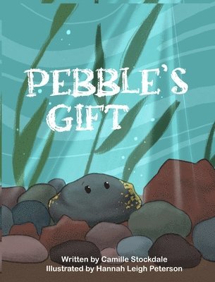 bokomslag Pebble's Gift