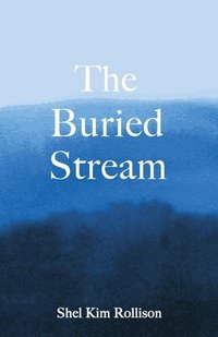 bokomslag Buried Stream