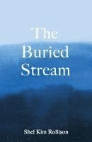 bokomslag The Buried Stream
