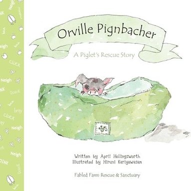 bokomslag Orville Pignbacher: A Piglet's Rescue Story
