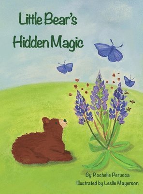 bokomslag Little Bear's Hidden Magic