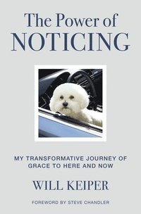 bokomslag The Power of Noticing: My Transformative Journey of Grace to Here and Now