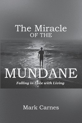 bokomslag The Miracle of the Mundane