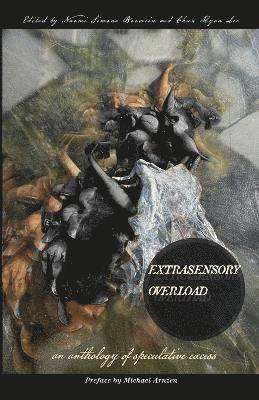 Naomi Simone Borwein, Chun Hyon Lee - Extrasensory Overload, Häftad