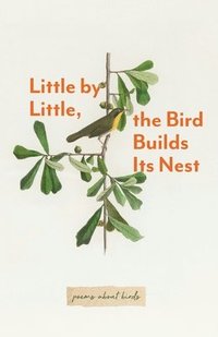 bokomslag Little By Little, The Bird Builds Its Nest