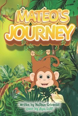 bokomslag Mateo's Journey