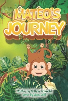 Mateo's Journey 1