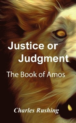 bokomslag Justice or Judgment