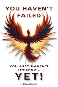 bokomslag You Haven't Failed