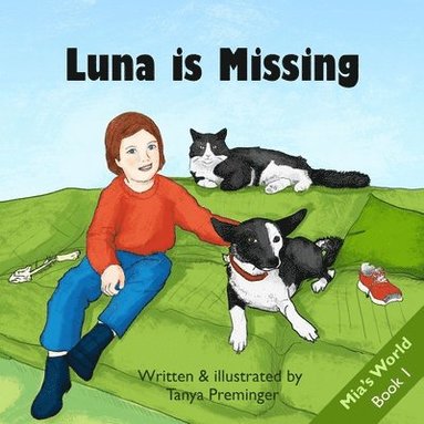 bokomslag Luna is Missing