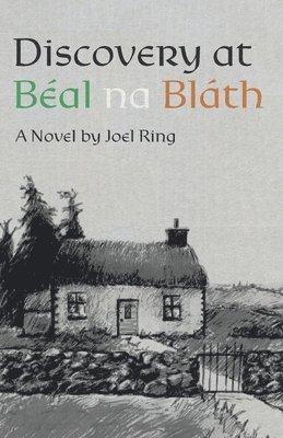 Discovery at Béal na Bláth 1