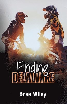 bokomslag Finding Delaware