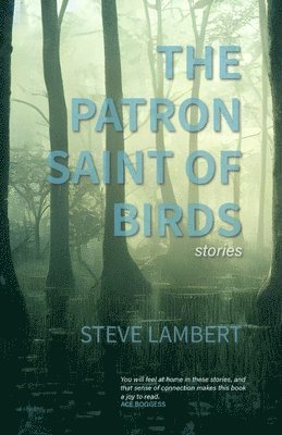 Steve Lambert - Patron Saint of Birds (+2), Häftad