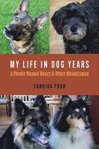 bokomslag My Life in Dog Years