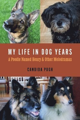 bokomslag My Life in Dog Years