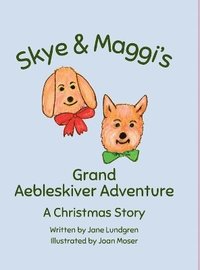 bokomslag Skye & Maggi's Grand Aebleskiver Adventure