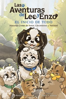 bokomslag Aventuras de Leo y Enzo
