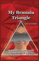 bokomslag My Bermuda triangle