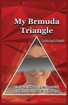 bokomslag My Bermuda triangle