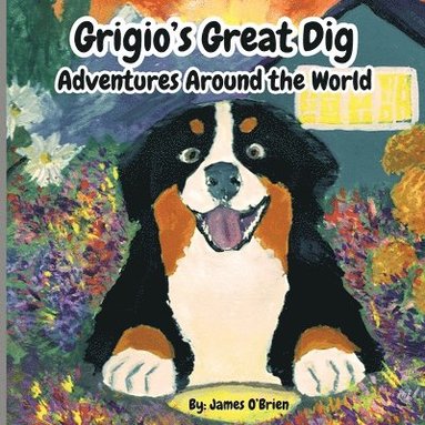 James O'Brien, Jill O'Brien - Grigio's Great Dig, Häftad