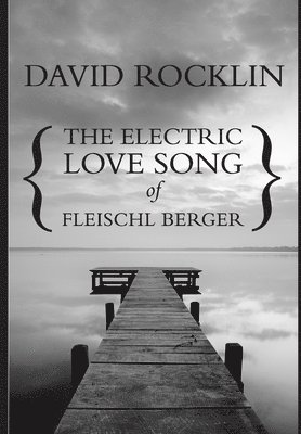 bokomslag The Electric Love Song of Fleischl Berger