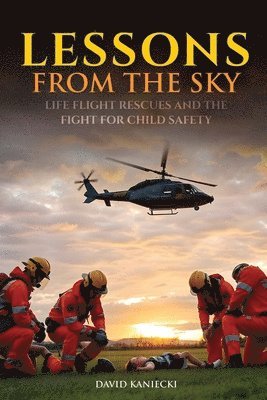 bokomslag Lessons from the Sky