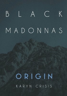 bokomslag Black Madonnas Origin