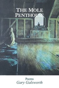 bokomslag Mole Penthouse