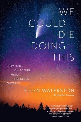 Ellen B Waterston - We Could Die Doing This, Häftad