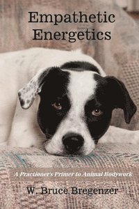 bokomslag Empathetic Energetics