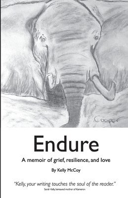 bokomslag Endure