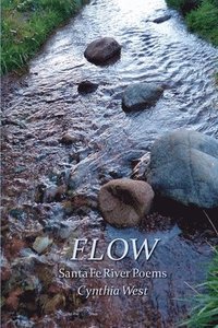 bokomslag Flow