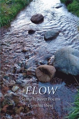 bokomslag Flow