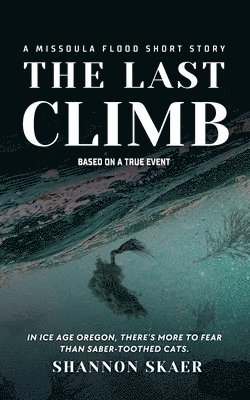 bokomslag Last Climb
