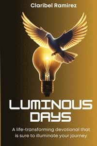 bokomslag Luminous Days