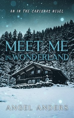 Meet Me In Wonderland 1