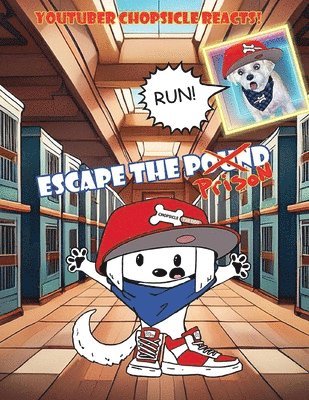 Ryan Lee Zakariasen - Youtuber Chopsicle Reacts! Escape the Prison, Häftad