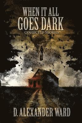 D Alexander Ward - When It All Goes Dark, Häftad