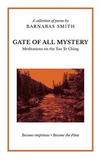 bokomslag Gate of All Mystery: Meditations on the Tao Te Ching