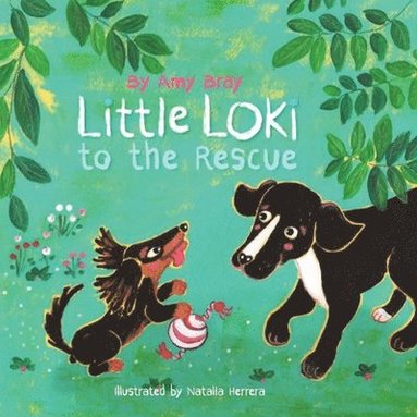 bokomslag Little Loki to the Rescue